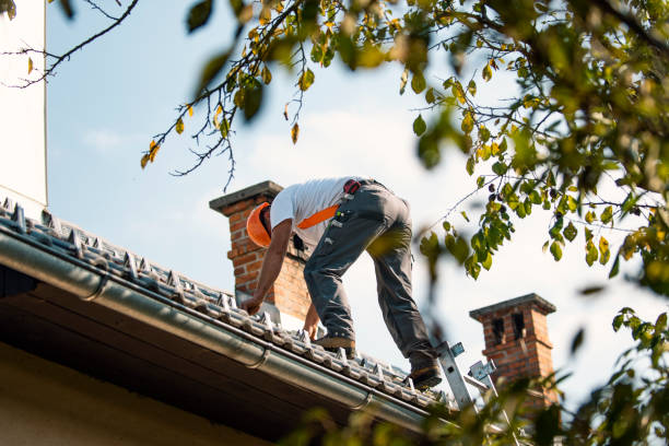 Best Roof Ventilation Installation  in Tecumseh, MI