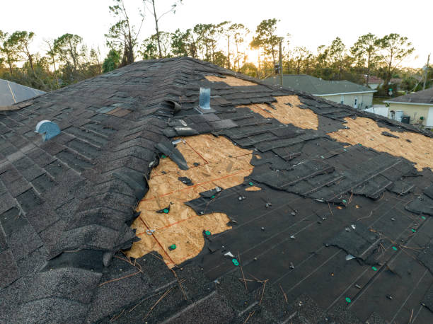Best Chimney Flashing Repair  in Tecumseh, MI