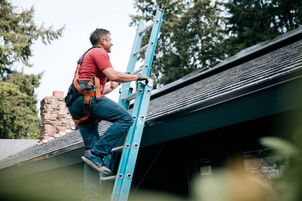 Best Metal Roofing Installation  in Tecumseh, MI