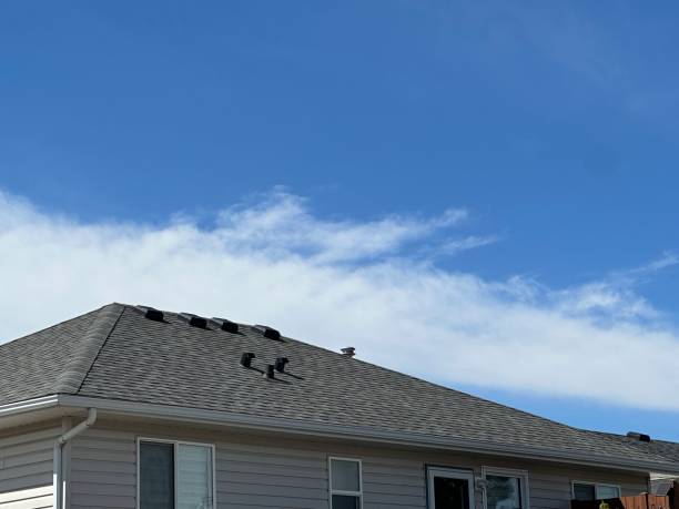 Best Rubber Roofing (EPDM, TPO)  in Tecumseh, MI